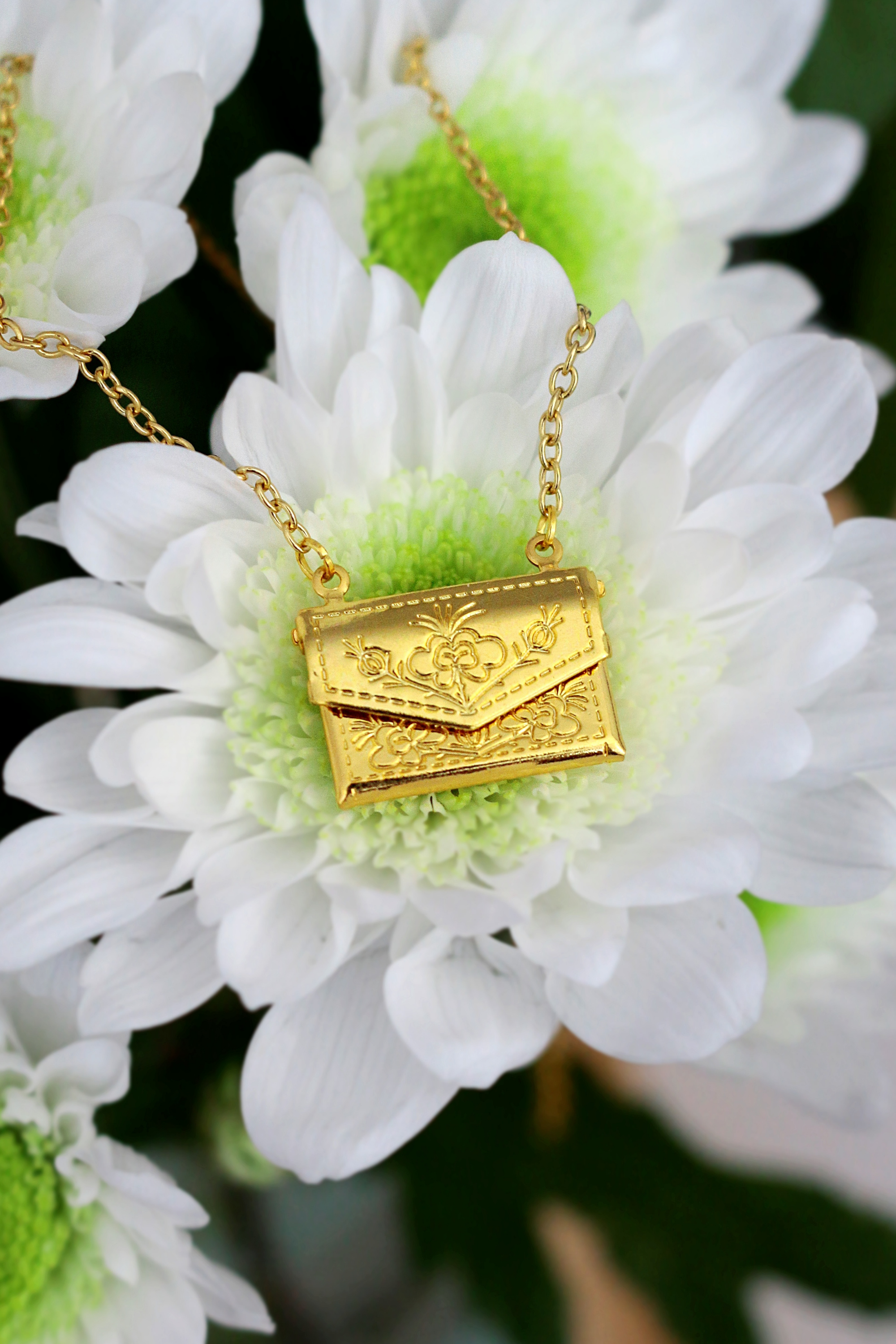 Envelop Locket Ketting | 24K Goud | Daisy Gravure
